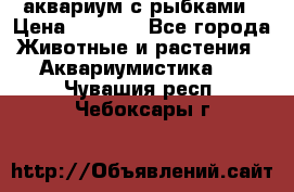 аквариум с рыбками › Цена ­ 1 000 - Все города Животные и растения » Аквариумистика   . Чувашия респ.,Чебоксары г.